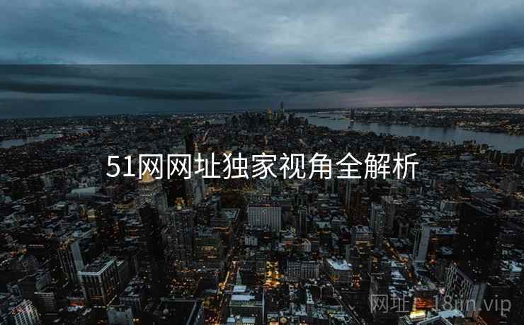51网网址独家视角全解析 51网网址独家视角全解析