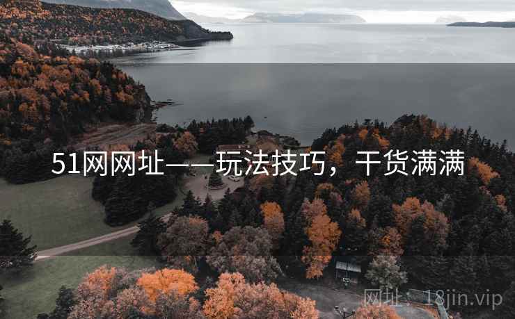 51网网址——玩法技巧，干货满满