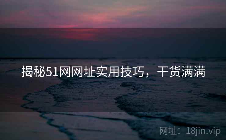 揭秘51网网址实用技巧，干货满满