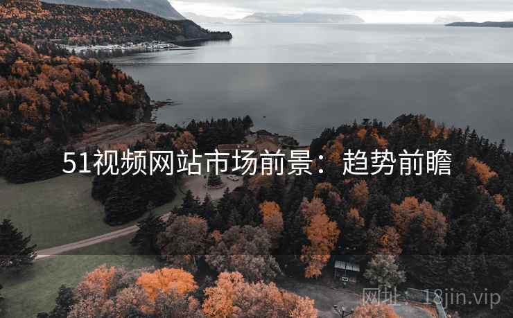 51视频网站市场前景:趋势前瞻 51视频网站市场前景:趋势前瞻